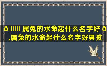 🐋 属兔的水命起什么名字好 🌻 ,属兔的水命起什么名字好男孩